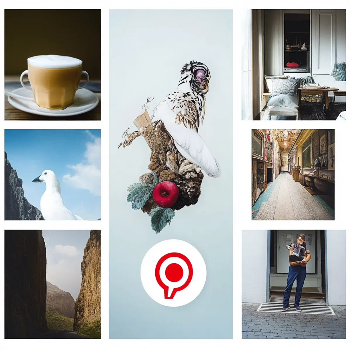 wcimjyrzvultnebb4fss